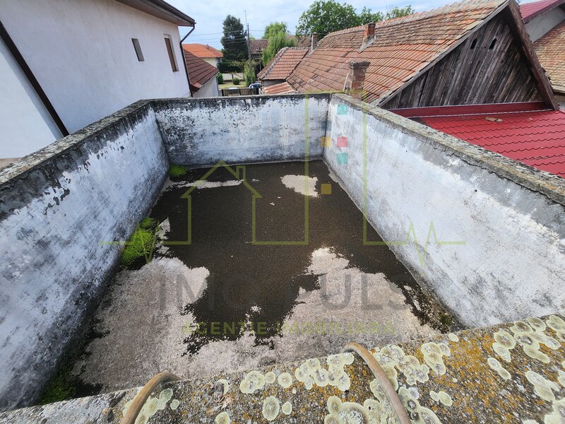 Timis  Individuala. Giarmata. Garaj. Piscina.